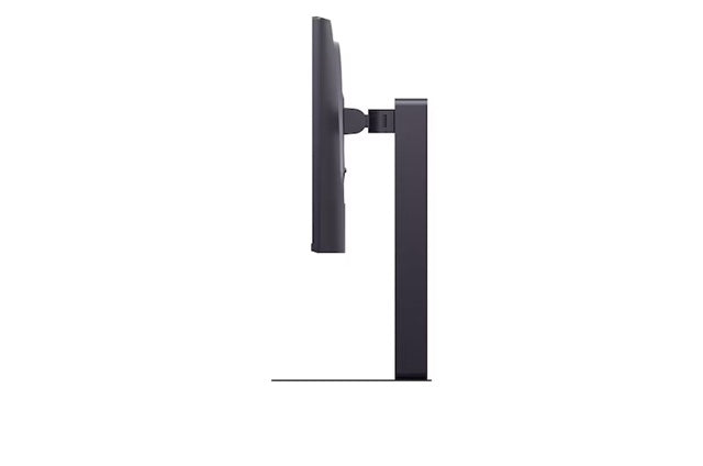 LG UltraGear 25" IPS Full HD 300Hz Monitor, 1920×1080, IPS, 300Hz, 1ms GtG, HDR10, sRGB 99%, G-SYNC Compatible, FreeSync Premium, DP 1.4, 2xHDMI